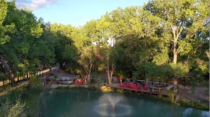 Aerial view of the peaceful pond at The Southwest Sanctuary, surrounded by tall cottonwood trees and vibrant greenery.