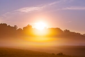 Golden sunrise over a misty meadow with glowing light rays and silhouette of trees, symbolizing renewal, peace, and the energy of a new day in nature.
