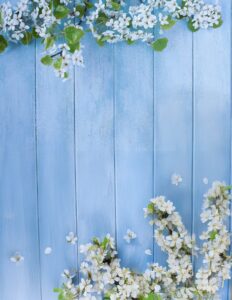Spring blossoms with white flowers and green leaves arranged on a rustic blue wooden background, symbolizing renewal and seasonal beauty.