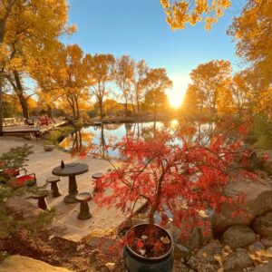 Peaceful autumn scene with golden trees reflecting on a tranquil pond, a vibrant red Japanese maple in the foreground, and a serene patio area basking in the warm glow of the setting sun.