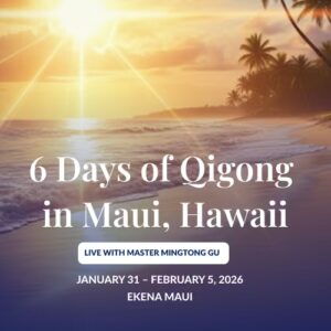 Hawaii Retreat Banner